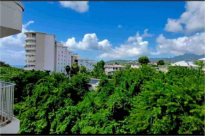 Appartement Zen et Mer des Caraïbes